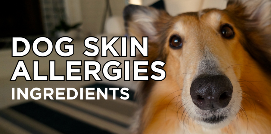 Ingredients in Dinovite for Dog Skin Allergies