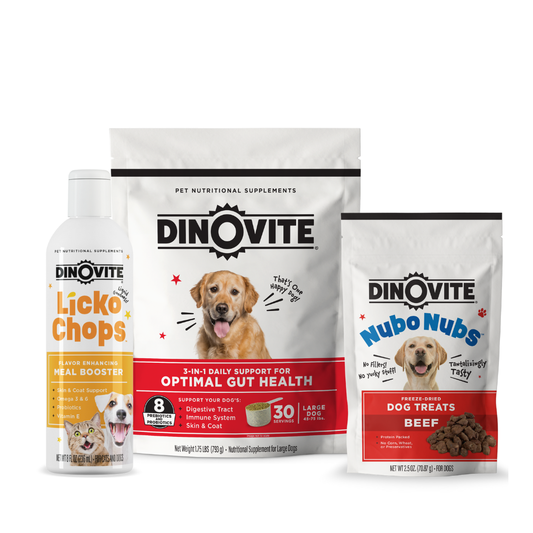 Dinovite food outlet