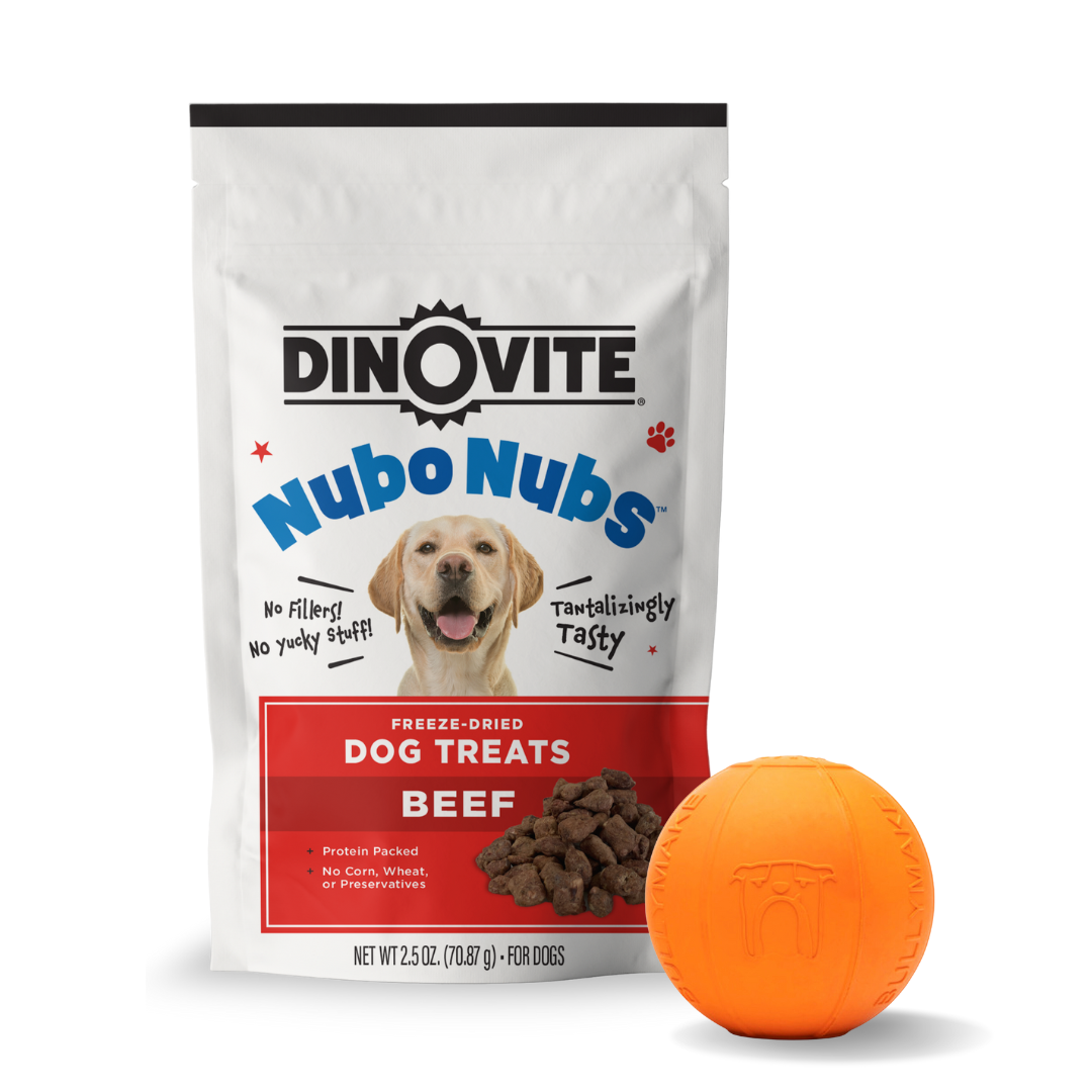 Treat Your Pup Bundle Dinovite