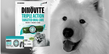 Difference Between Dinovite Dog Dental Powder and Dental Chews