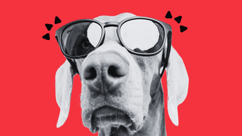 Celebrity Dog Trainer and Vet Med Professional Give Dinovite Dental Chews “Two Paws Up”
