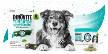 black and white dog with dinovite dental powder and chews