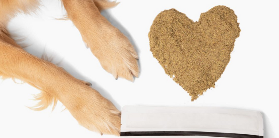heart shaped dinovite for dogs flat lay