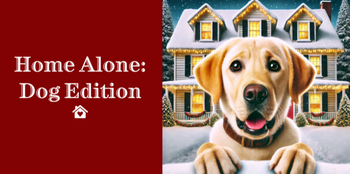 Leaving Your Dog Home Alone: Tips and Tricks