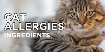 Dinovite Ingredients for Allergies in Cats