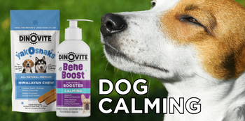 BeneBoost Calming Care for Dogs
