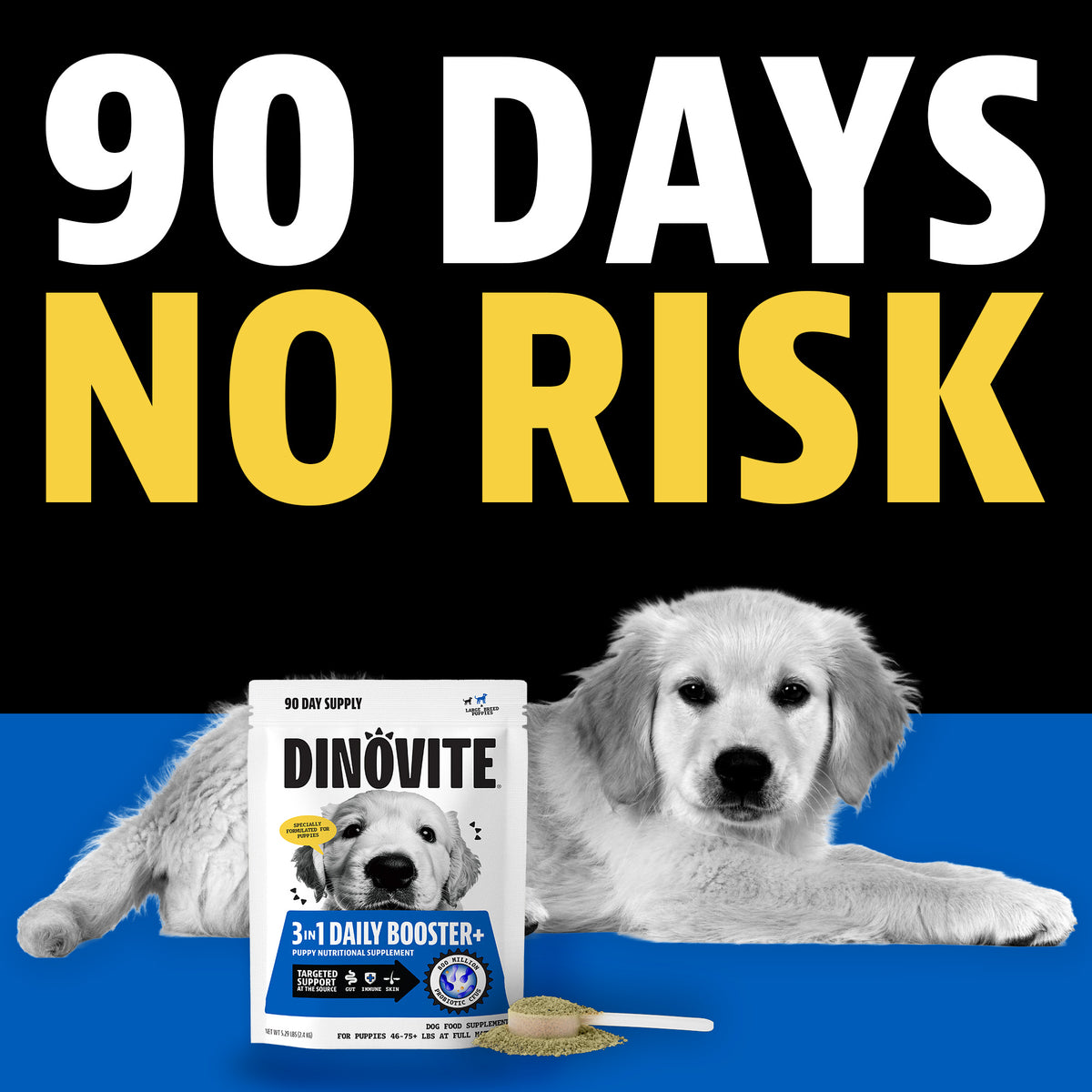 90 days, no risk. A golden retriever puppy lying beside a Dinovite 3-in-1 Daily Booster+ puppy 90-day supply bag with a scoop of powder