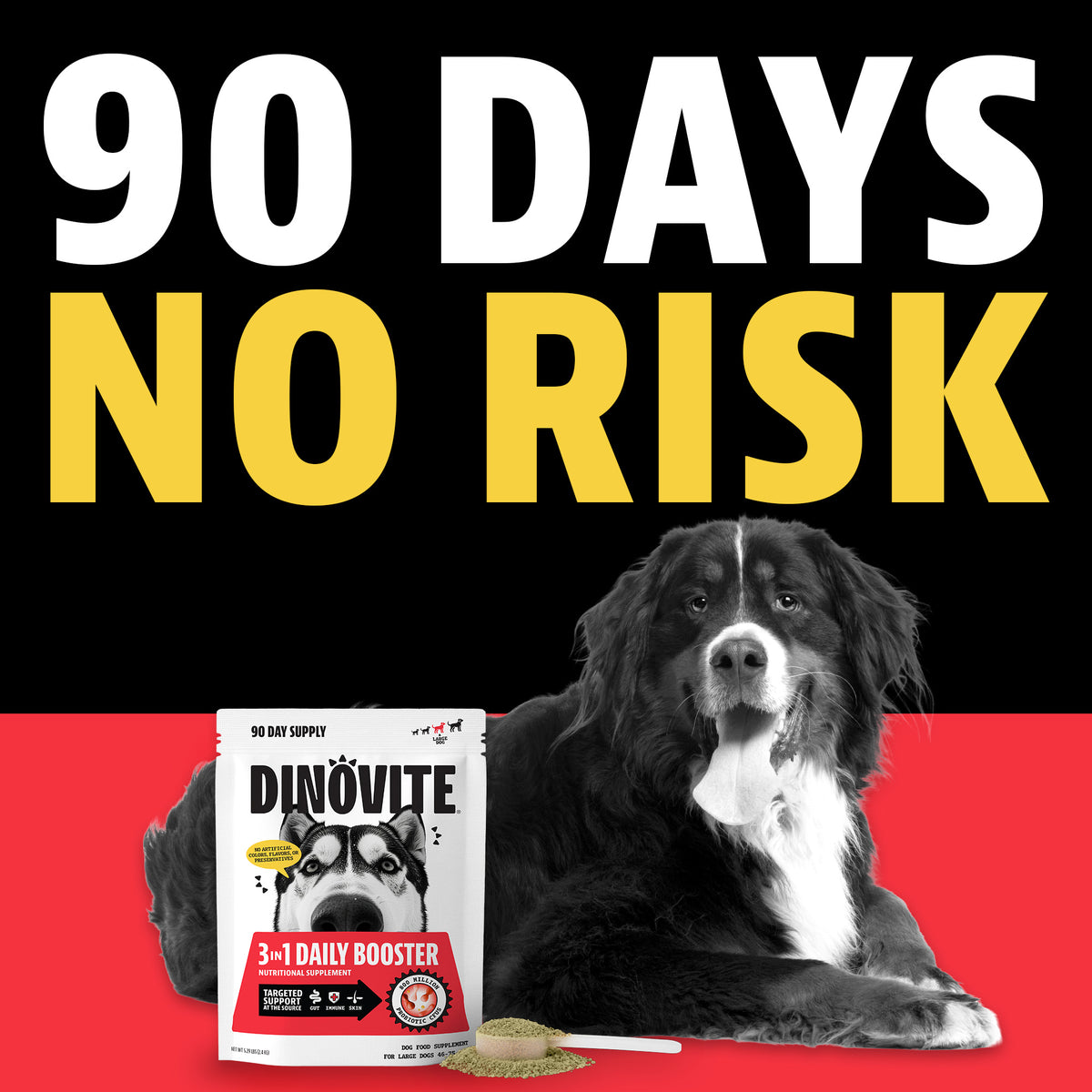 90 days, no risk. A Bernese mountain dog lying beside a Dinovite 3-in-1 Daily Booster 90-day supply bag with a scoop of powder