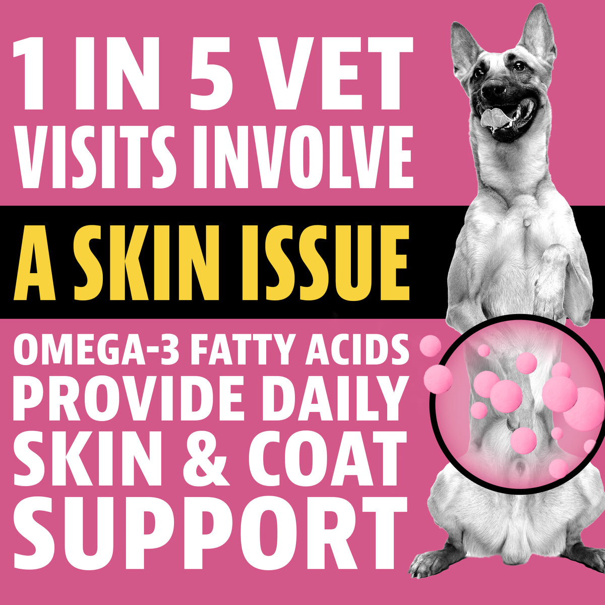 1 in 5 vet visits involve a skin issue. Omega-3 fatty acids provide daily skin and coat support. A German Shepherd with a highlighted circle showing nutrient droplets