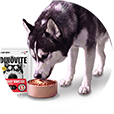 Dog eating from a bowl of Dinovite