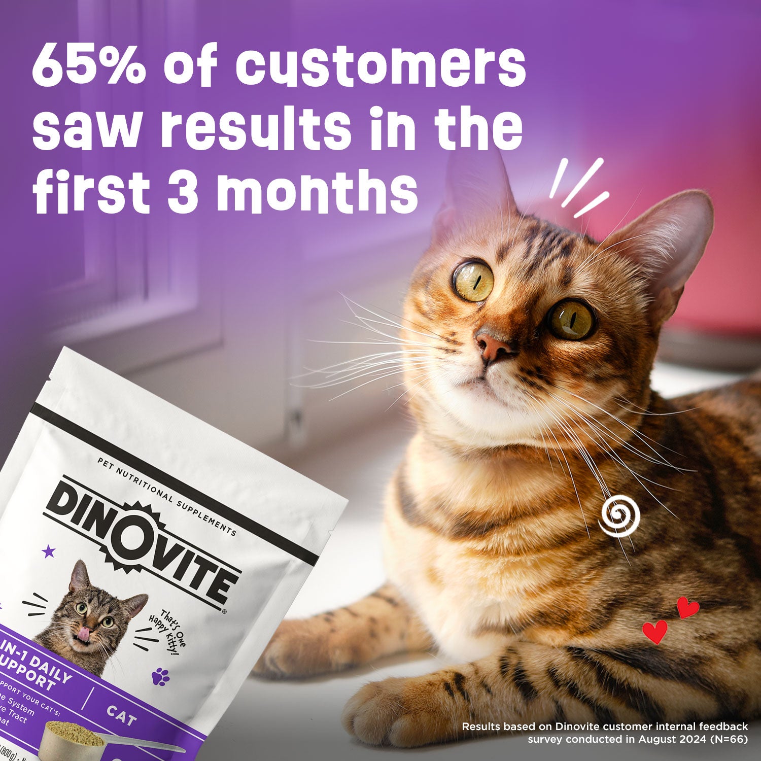 Best Probiotics for Cats for Cat Dry Skin | Dinovite for Cats