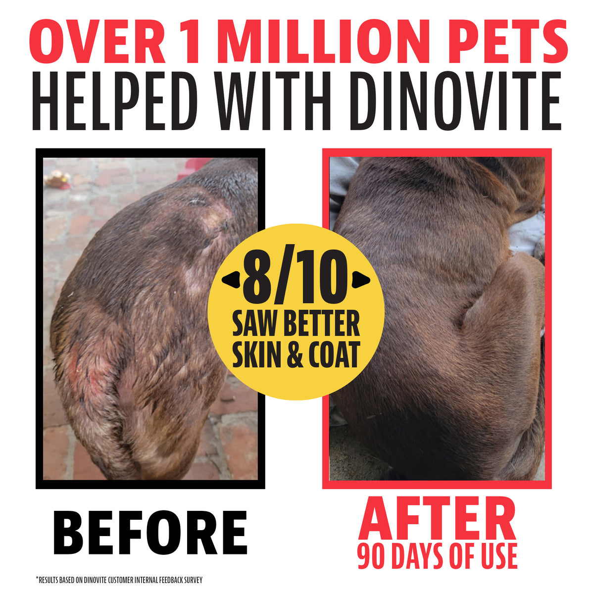 Over 1 million pets helped with Dinovite. Before and after 90 days of use: a dog's patchy, irritated coat compared with a full, healthy coat. 8 out of 10 saw better skin and coat, based on a Dinovite customer feedback survey