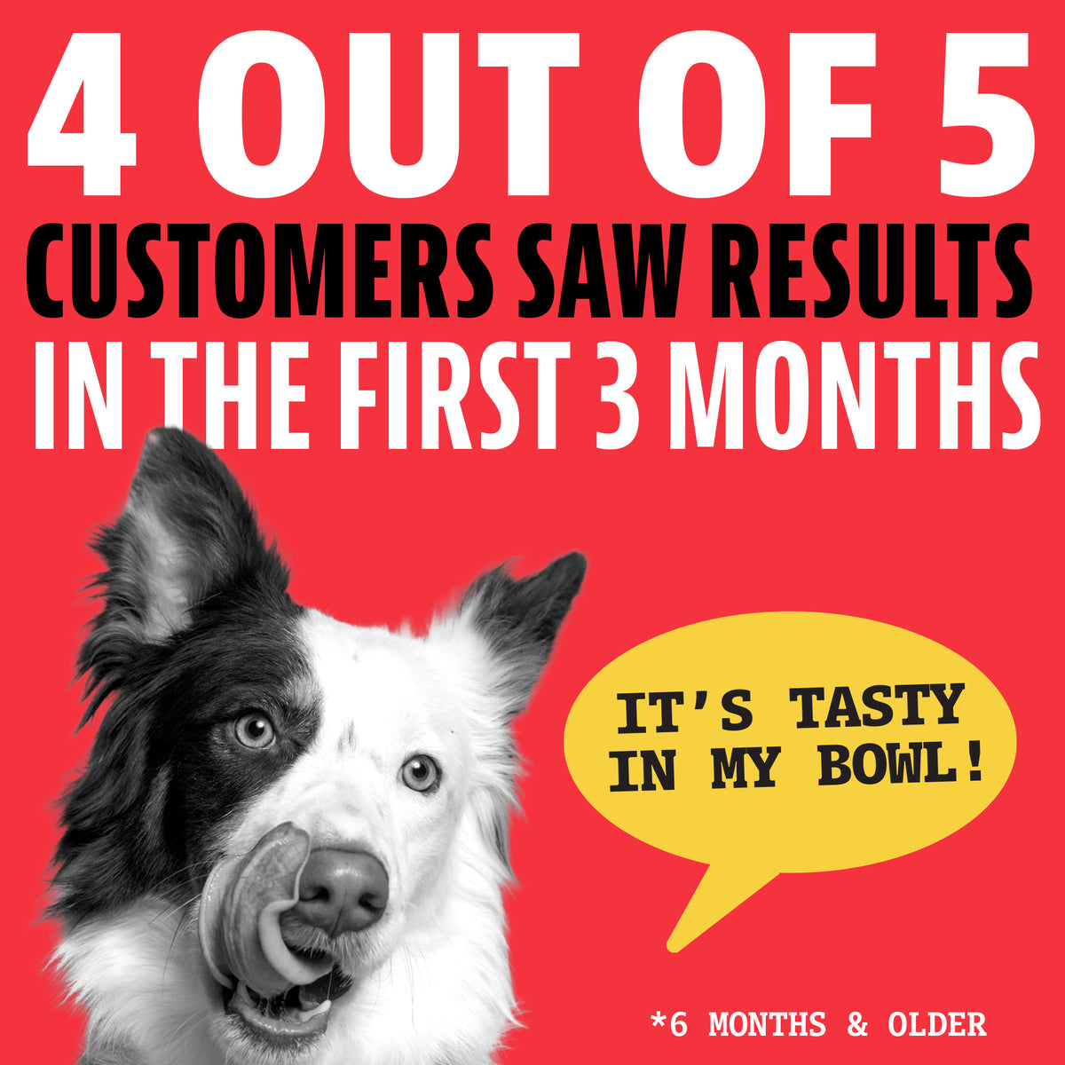 4 out of 5 customers saw results in the first 3 months. A border collie licking its nose with a speech bubble saying "It's tasty in my bowl!" For dogs 6 months and older