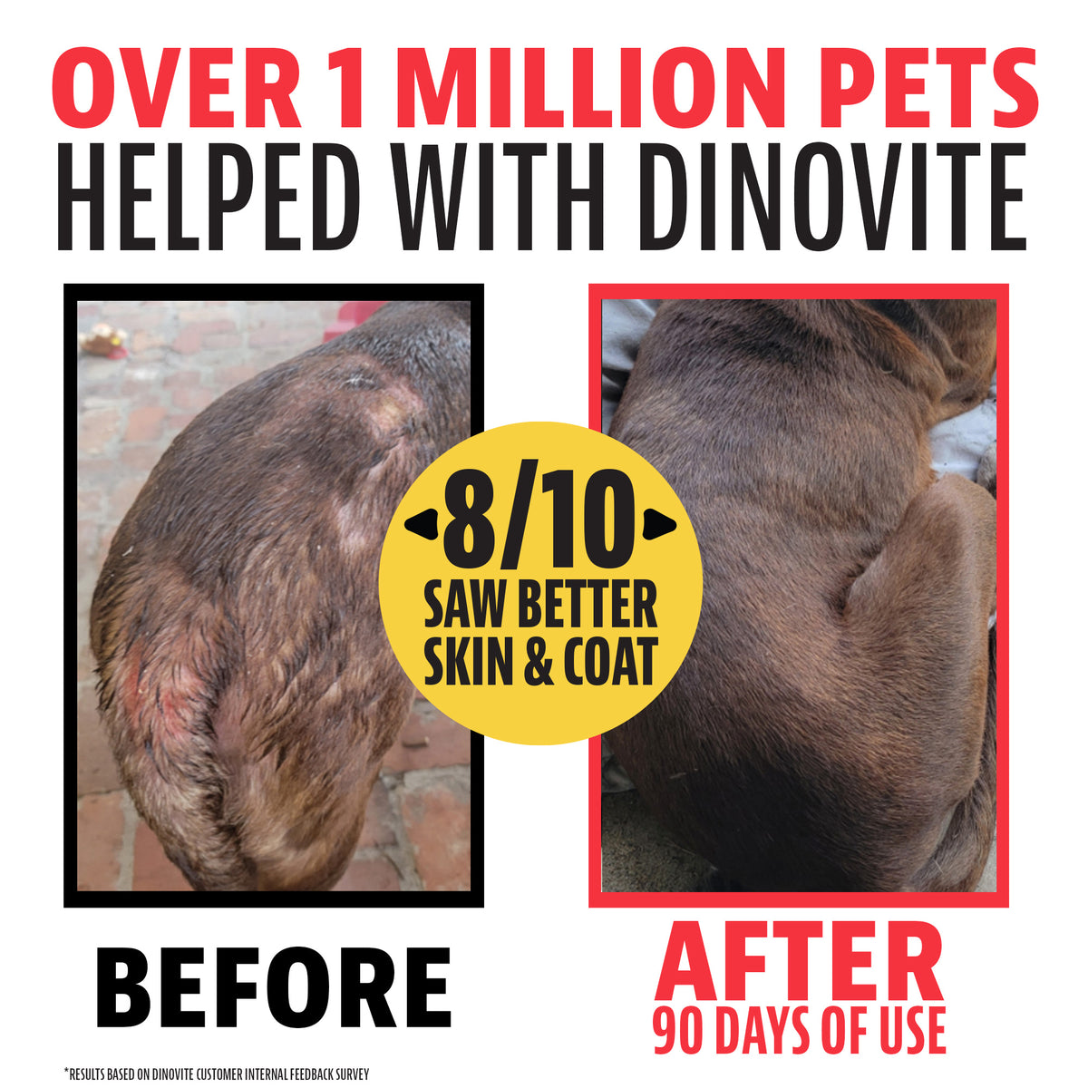 Over 1 million pets helped with Dinovite. Before and after 90 days of use: a dog's patchy, irritated coat compared with a full, healthy coat. 8 out of 10 saw better skin and coat, based on a Dinovite customer feedback survey