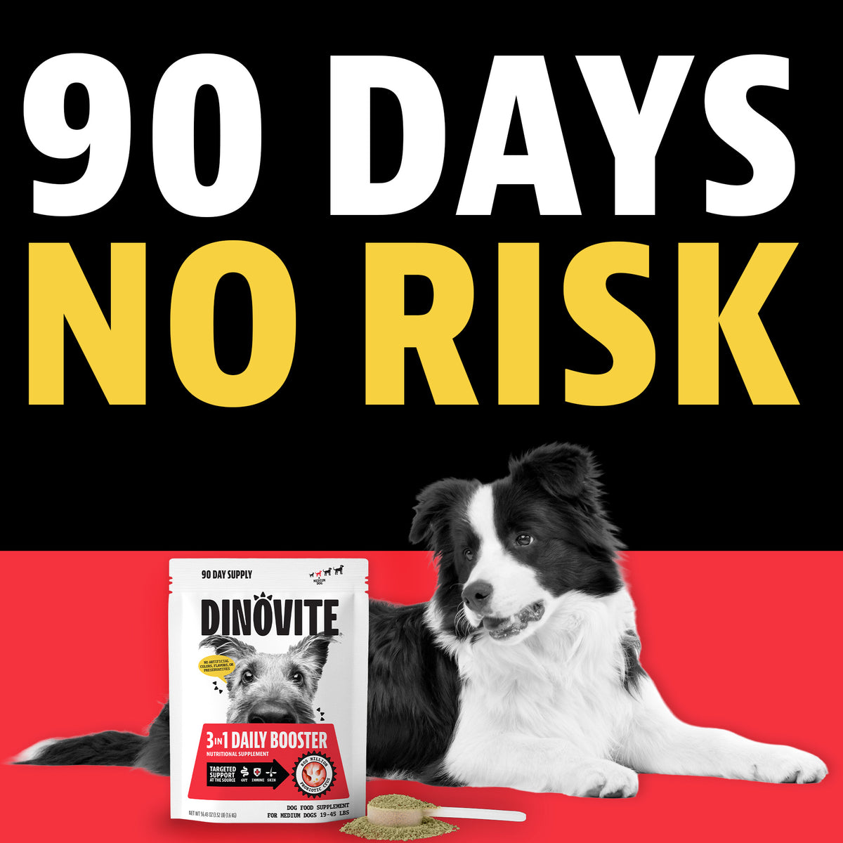 90 days, no risk. A border collie lying beside a Dinovite 3-in-1 Daily Booster 90-day supply bag for medium dogs with a scoop of powder