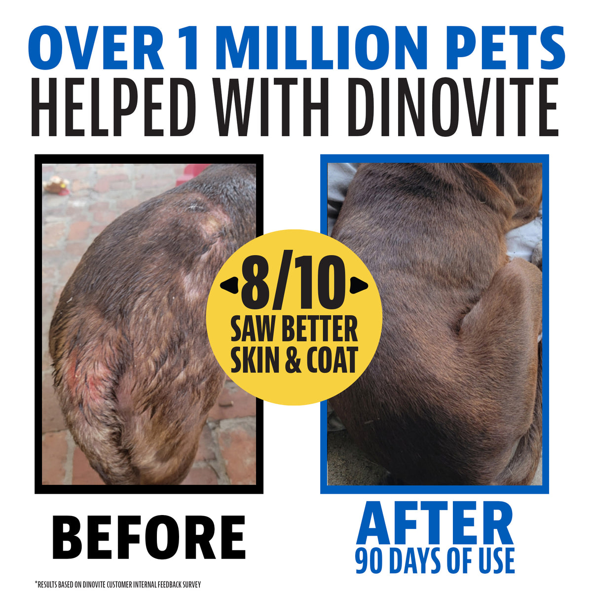 Over 1 million pets helped with Dinovite. Before and after 90 days of use: a dog's patchy, irritated coat compared with a full, healthy coat. 8 out of 10 saw better skin and coat, based on a Dinovite customer feedback survey