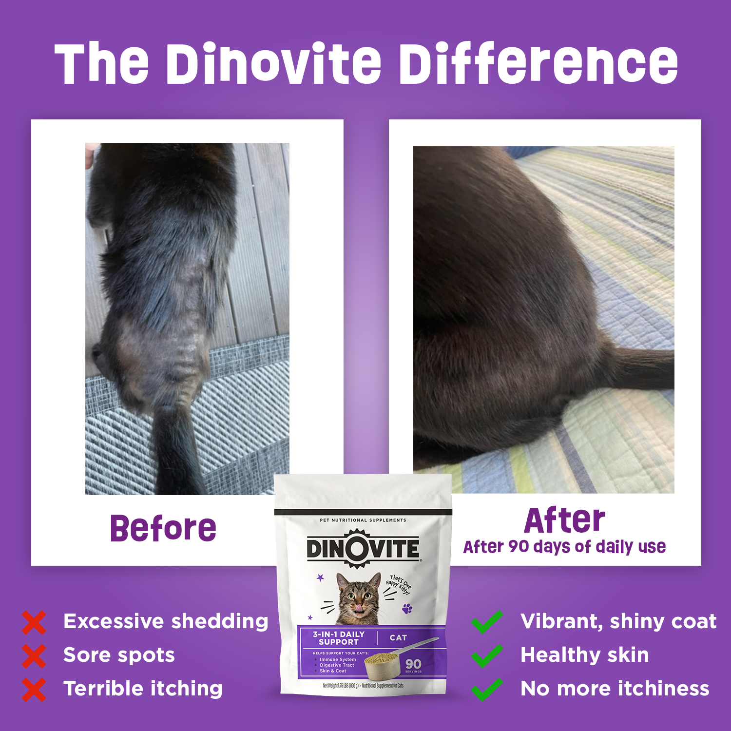 Best Probiotics for Cats for Cat Dry Skin | Dinovite for Cats