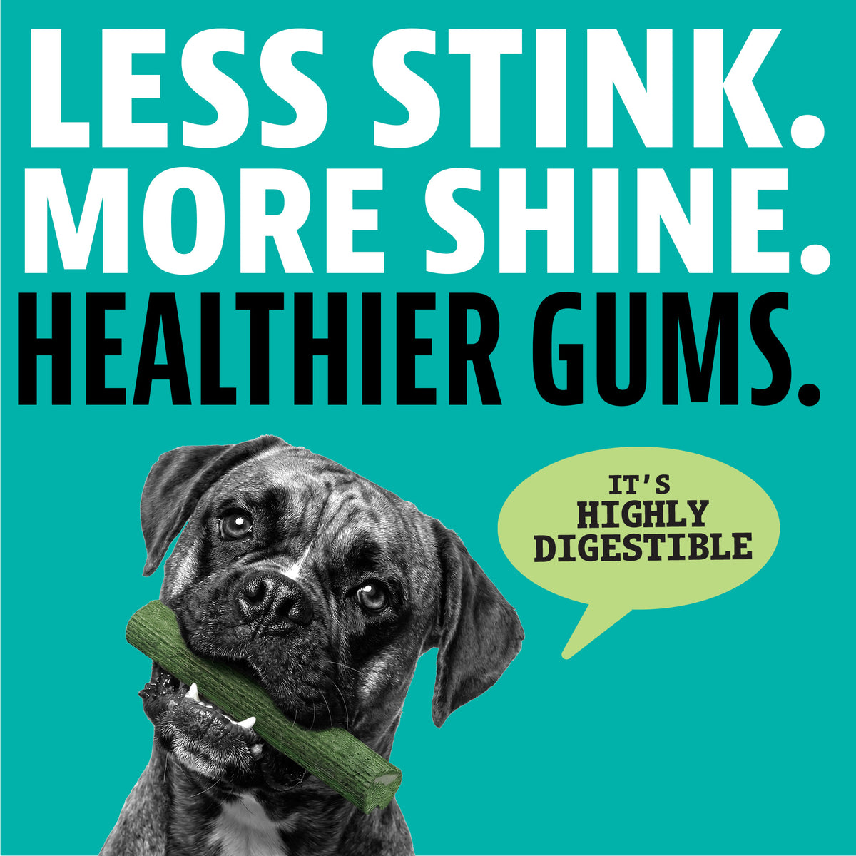 A dog portrait on a teal background with large text reading 'LESS STINK. MORE SHINE.