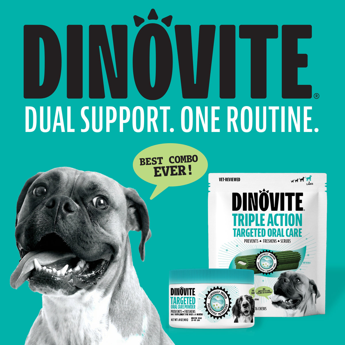 Dinovite dual support one routing