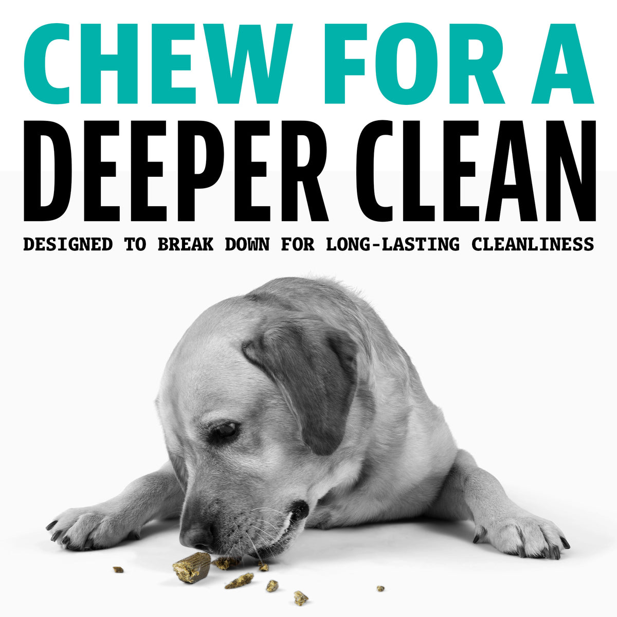 chew for a deeper clean designed to break down for long-lasting cleanliness