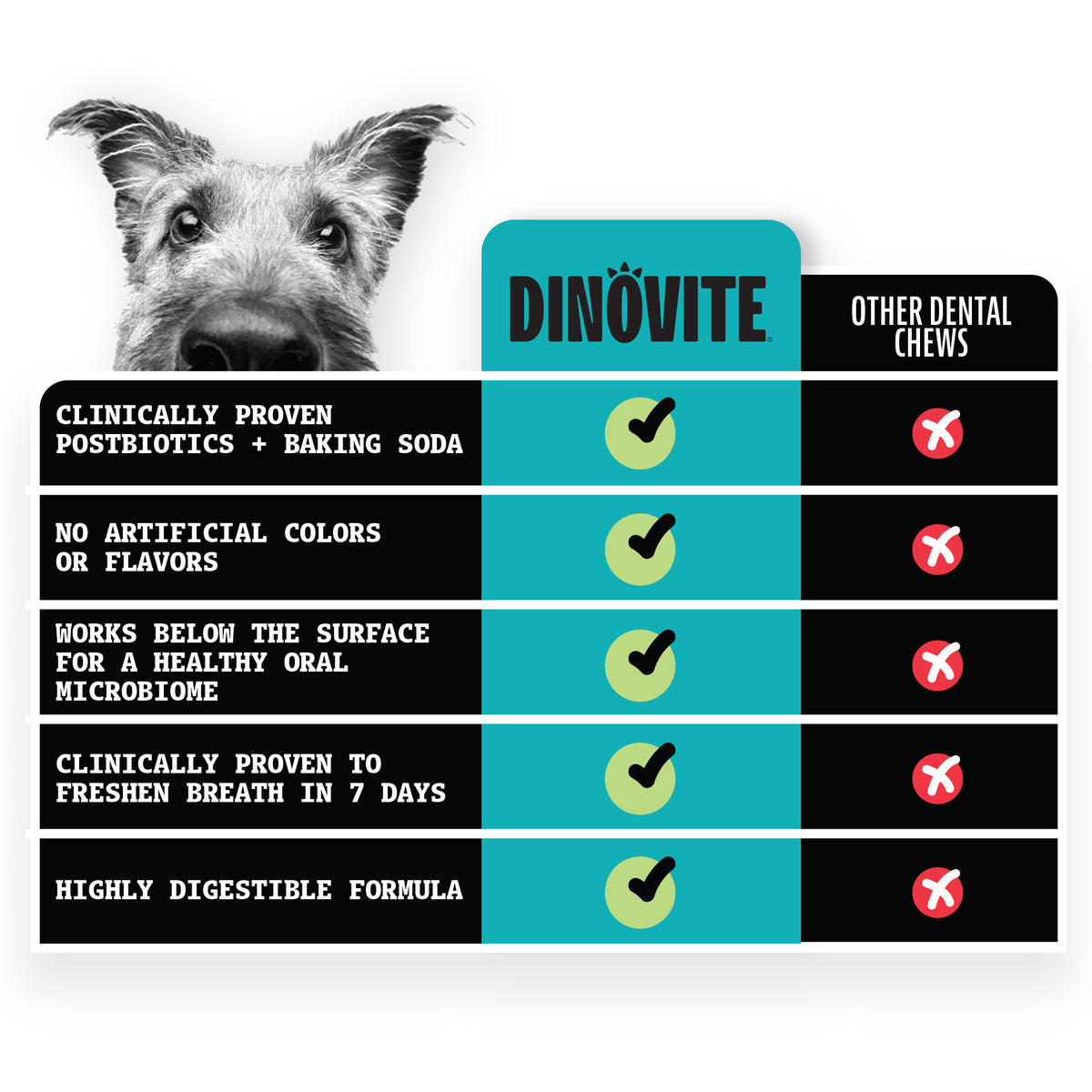 Comparison chart of DINOVITE dental chews with other dental chews, featuring a dog's face on the left.