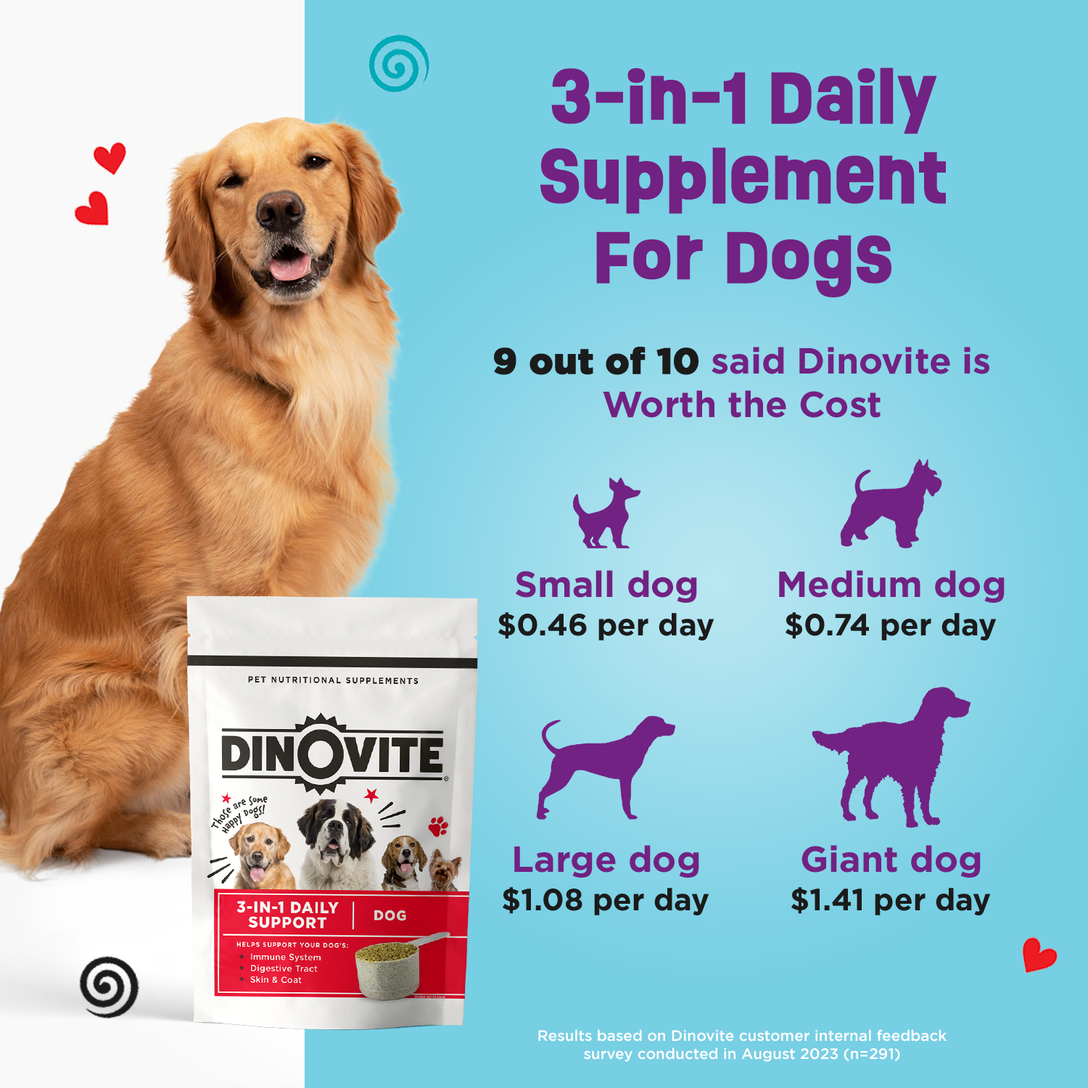 Probiotics for Dogs with Skin Allergies | Dog Itch Relief | Dinovite