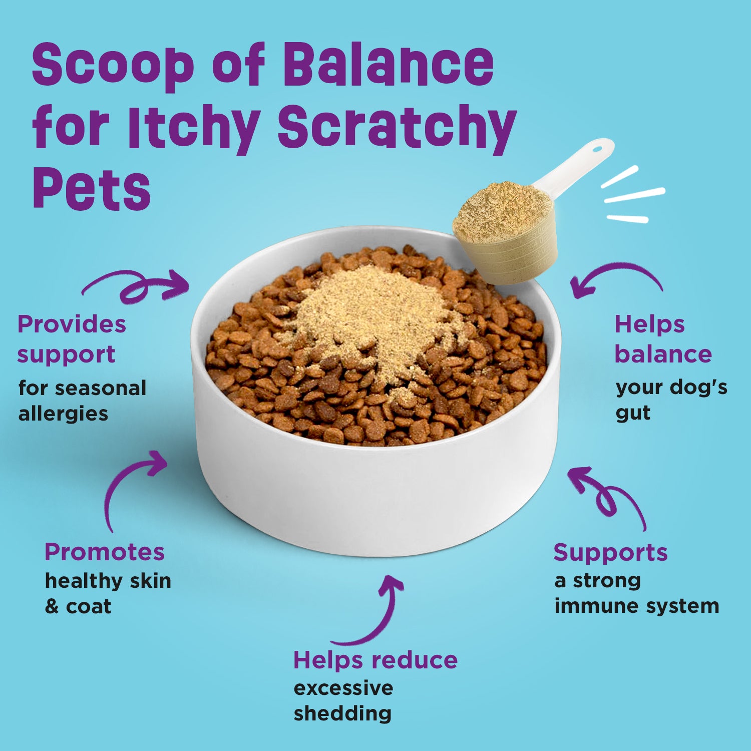 Itchy Skin Best Dog Food For Senior Dogs With Allergies Probiotics
