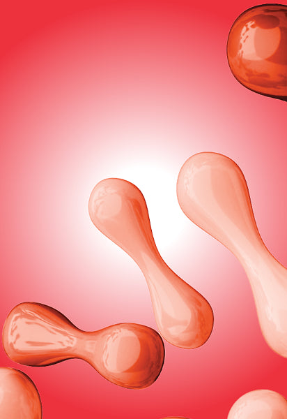 Probiotics & Prebiotics