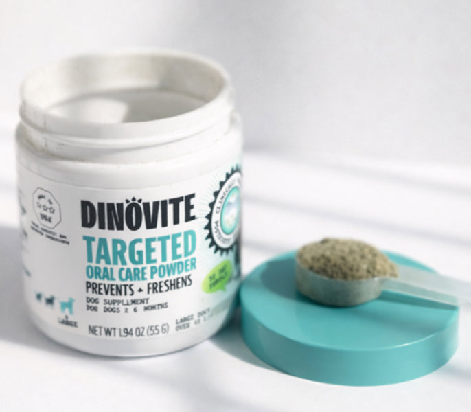An open jar of Dinovite Targeted Oral Care Powder beside a scoop of powder