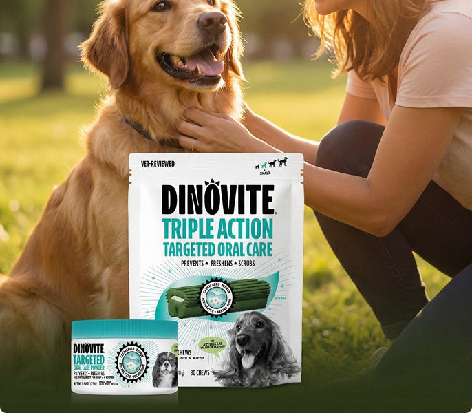 A golden retriever beside Dinovite Triple Action dental chews and oral care powder