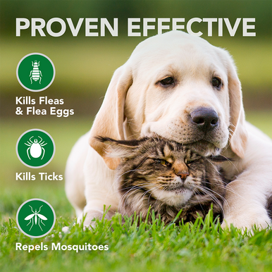 Vet s Best Flea and Tick Wipes for Dogs and Cats Dinovite