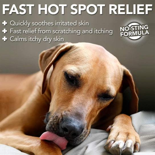 Vet's Best Allergy Itch Relief Spray - Fast Hot Spot Relief