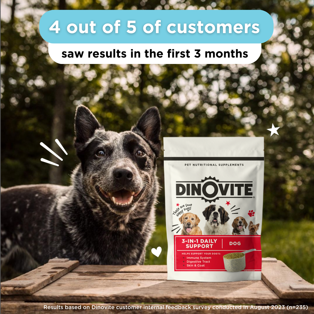 Dinovite for Dogs | Dinovite