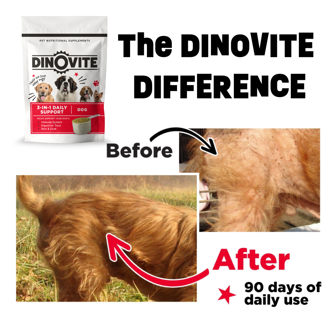 Dinovite for Dogs | Dinovite