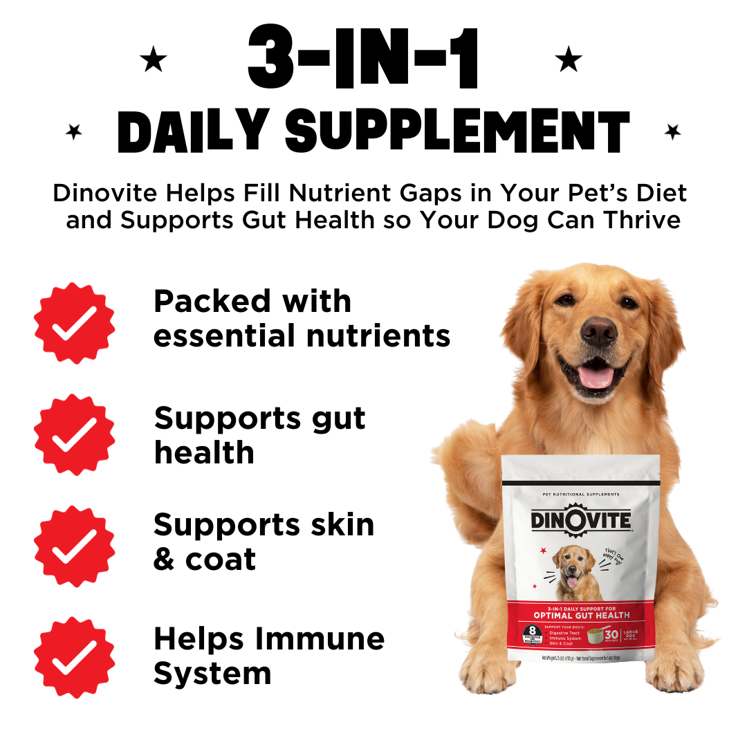 Best dog food supplement online
