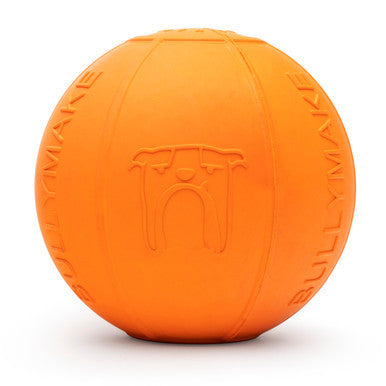BULLYMAKE Rubber Beach Ball Toy for Dogs