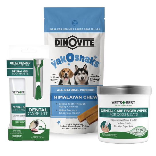 Dental supplements for dogs hot sale