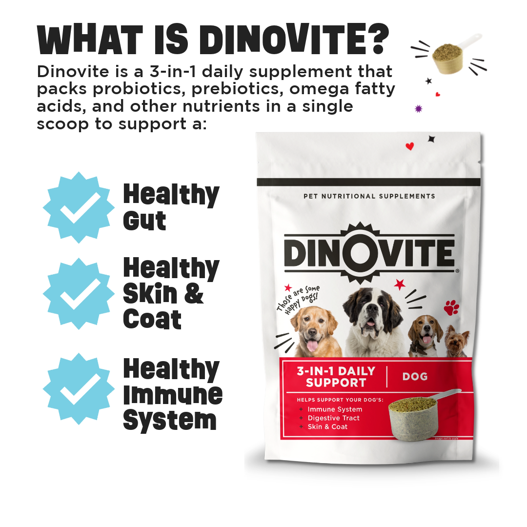 What is Dinovite?